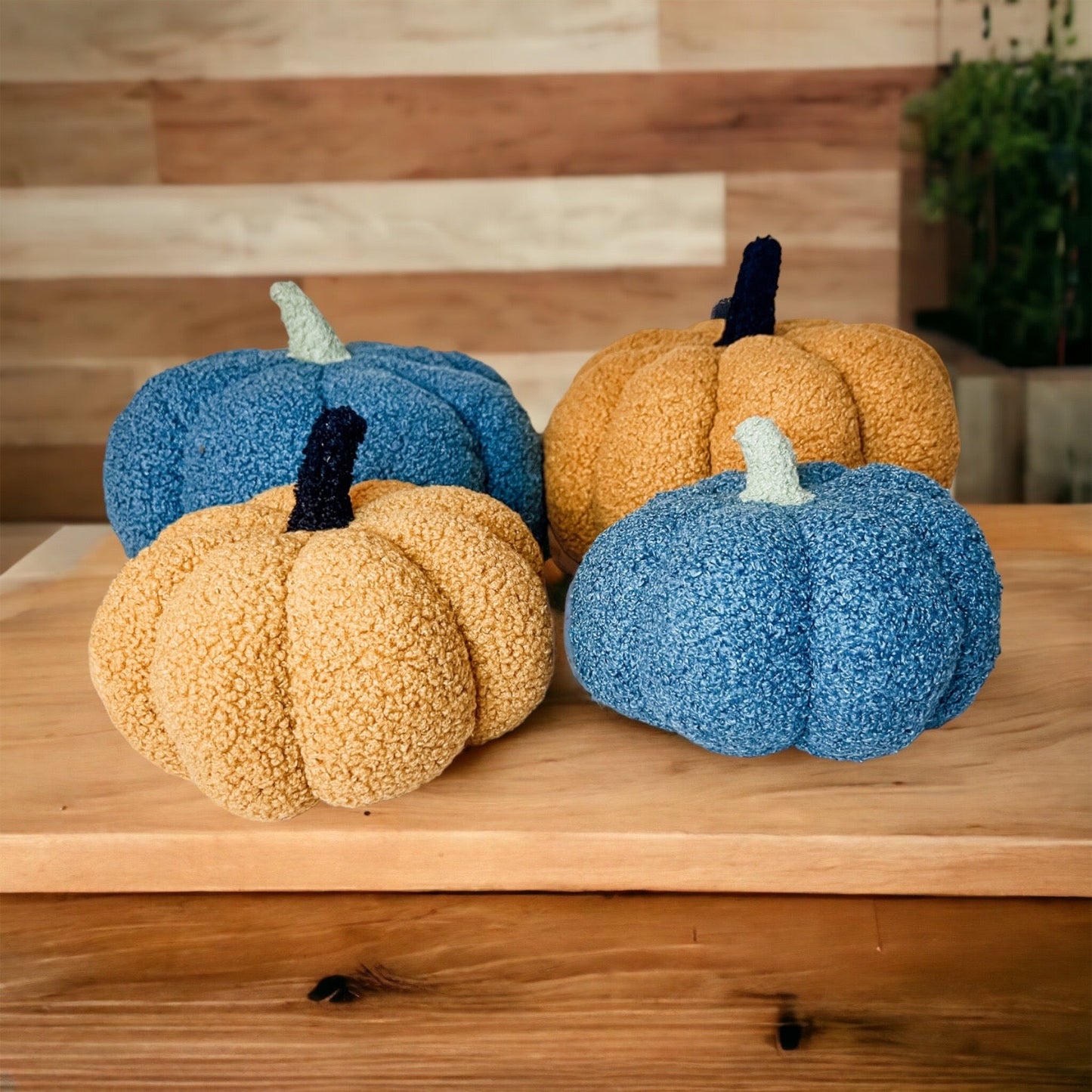 Plush Blair Pumpkins